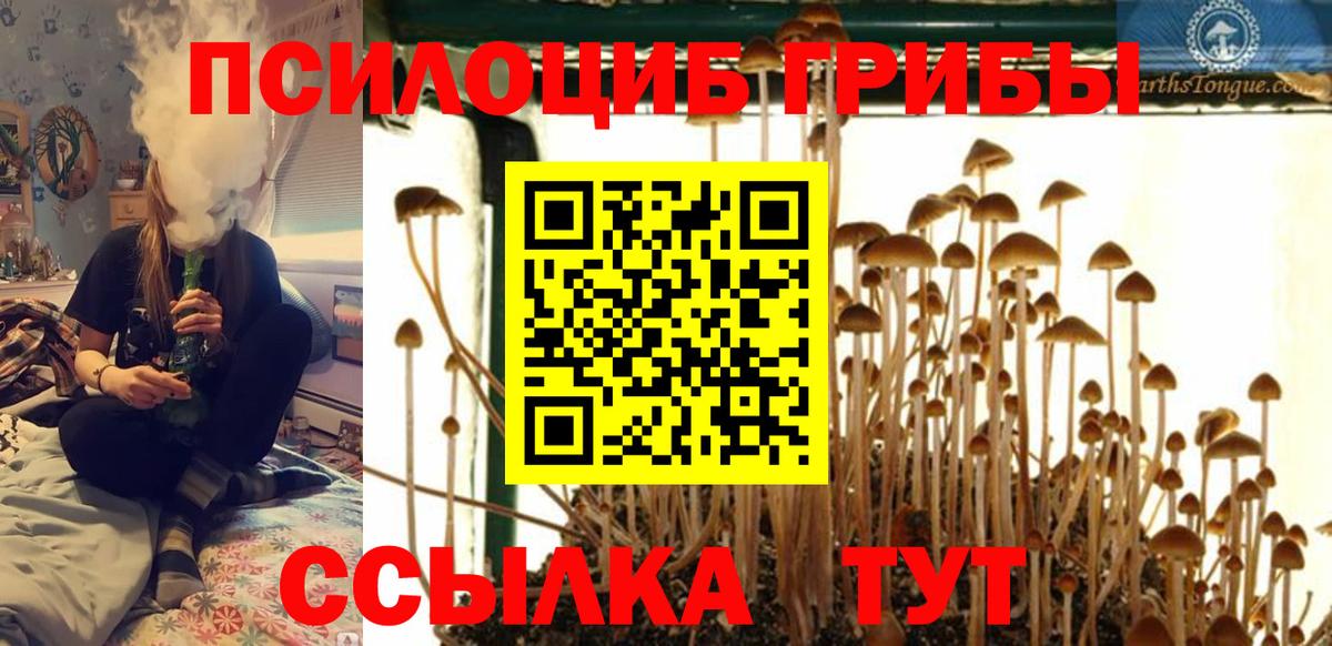 Галлюциногенные грибы GOLDEN TEACHER  Вход с VPN  Галлюциногенные грибы Cubensis  Волжский 