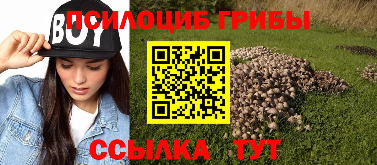 Галлюциногенные грибы мухоморы Волжский